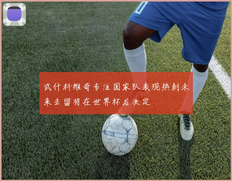 武什科维奇专注国家队表现热刺未来去留将在世界杯后决定
