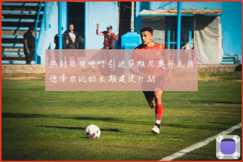 热刺旧将呼吁引进萨维尼奥并支持德泽尔比的长期建设计划